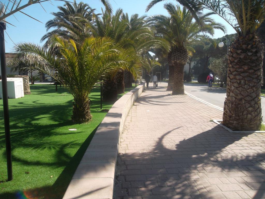 Hotel Quattropalme Торторето Экстерьер фото